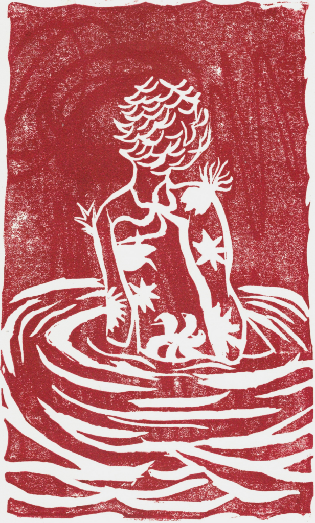 Hemraphrodite exposé avec l'association Faune Records en Juin 2023