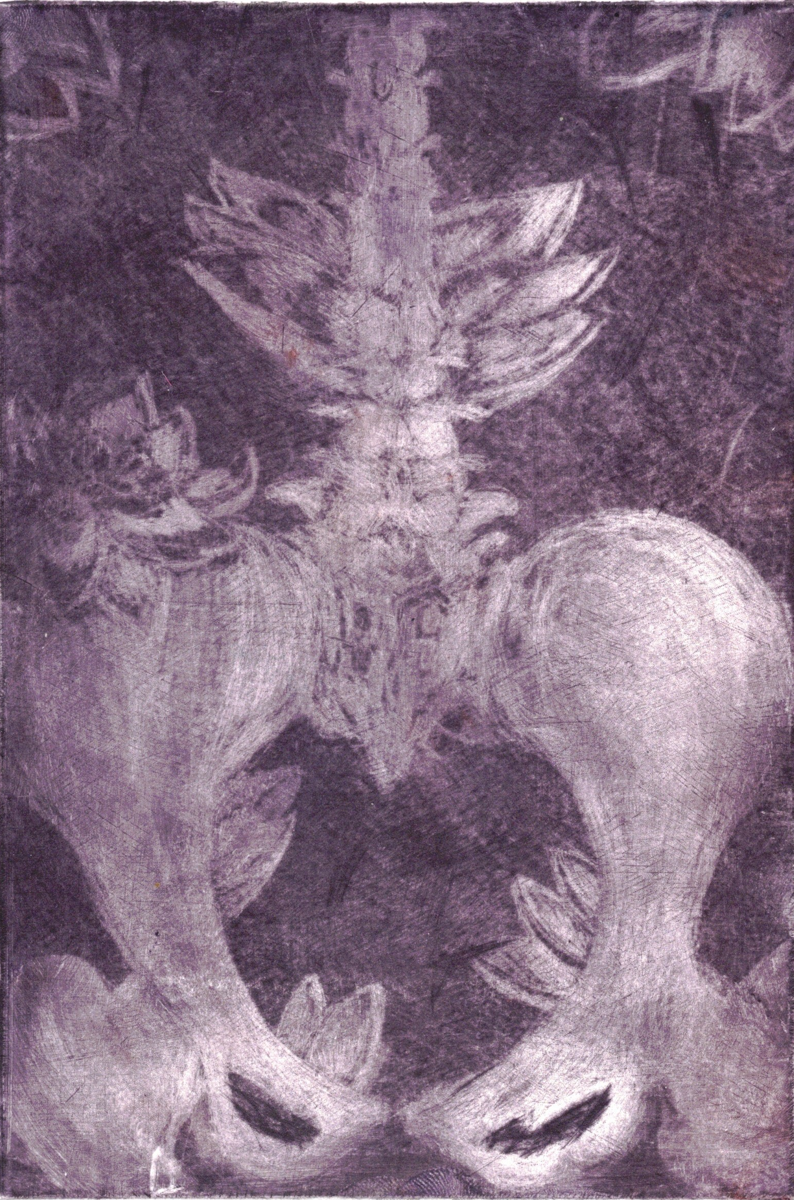 Tailles douces en manière noire (gravure)